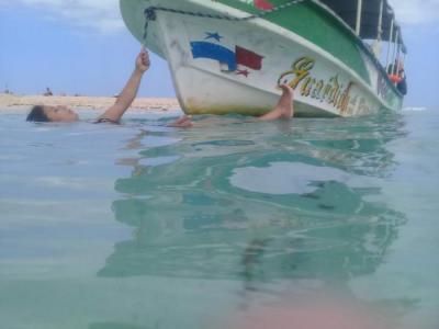 ¡prepárate para una aventura tropical que no olvidarás! aquí tienes un resumen de lo q