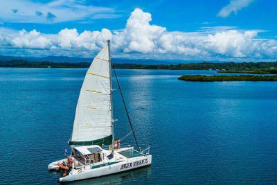 Sumérgete en la belleza y relajación del caribe con este tour en catamarán de un día c
